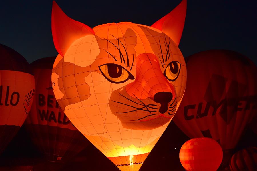 В Бонне проходит 11-й фестиваль воздушных шаров