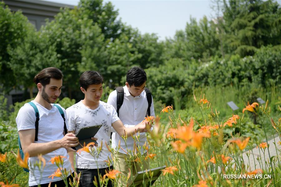 Студент из Казахстана постигает тайны иглоукалывания в сианьском вузе