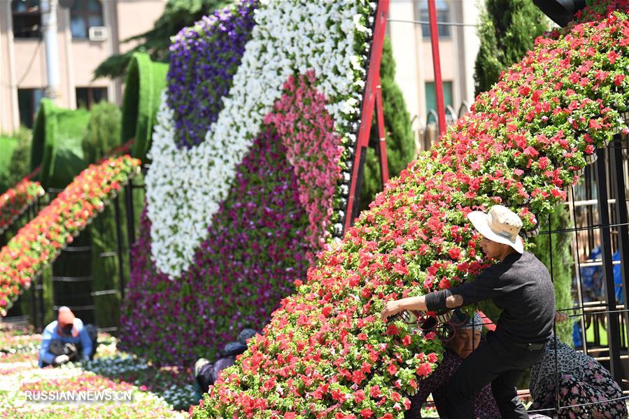 Душанбе украсили цветами в преддверии саммита СВМДА