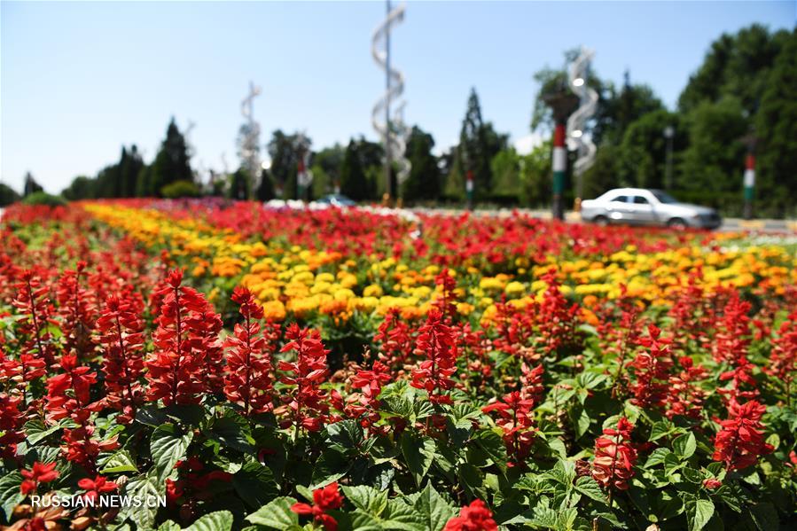 Душанбе украсили цветами в преддверии саммита СВМДА