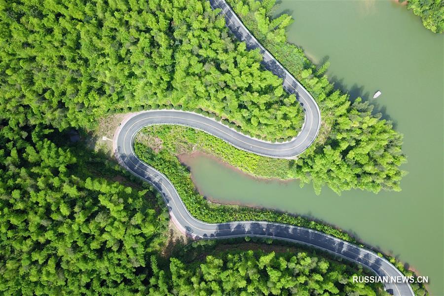 Летний пейзаж национального лесопарка "Чжухай" на юго-западе Китая