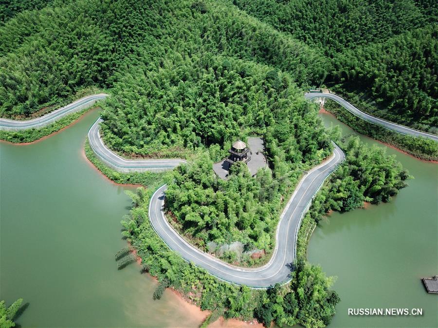 Летний пейзаж национального лесопарка "Чжухай" на юго-западе Китая