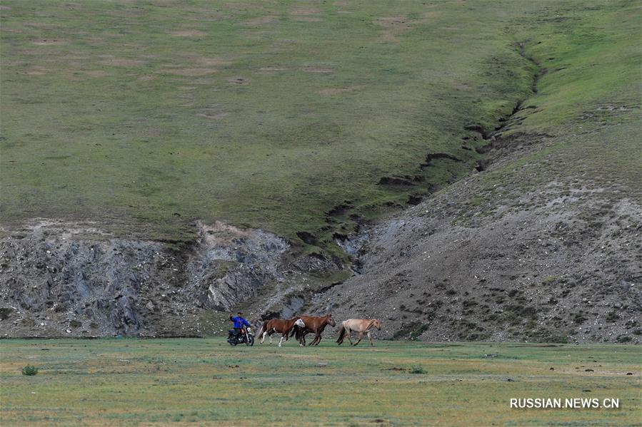 Летние пейзажи степей Монголии