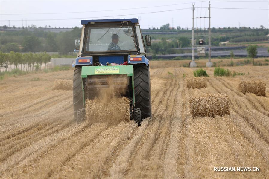 Отходы в доходы: новое применение пшеничной соломы
