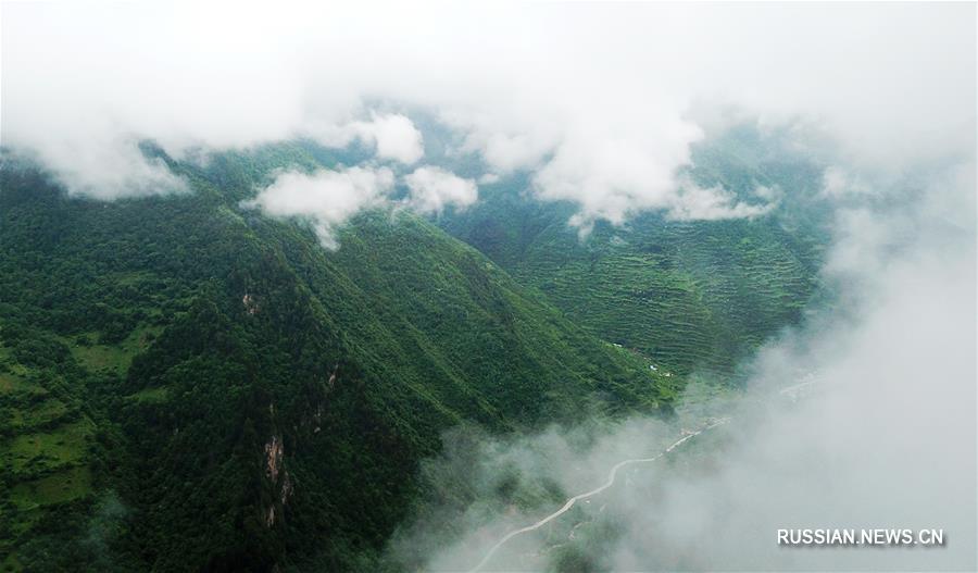 Окутанный туманом природный парк "Гуанъэгоу" 