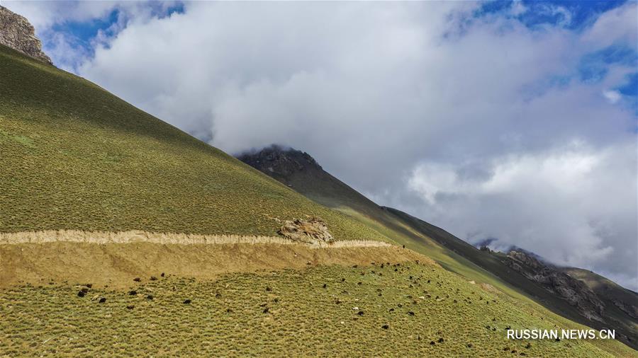 Пастбище Лайбулак в горах Памира