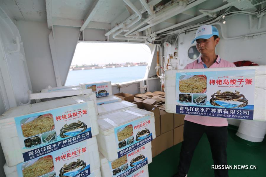 Активисты Китая и Республики Корея выпустили в Желтое море 400 тыс мальков