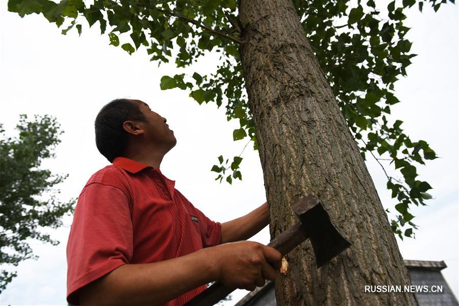Искусство создания резных масок "Но" из провинции Гуйчжоу