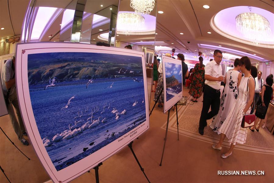 Выставка китайских мастеров из провинции Шаньдун проходит в Киеве