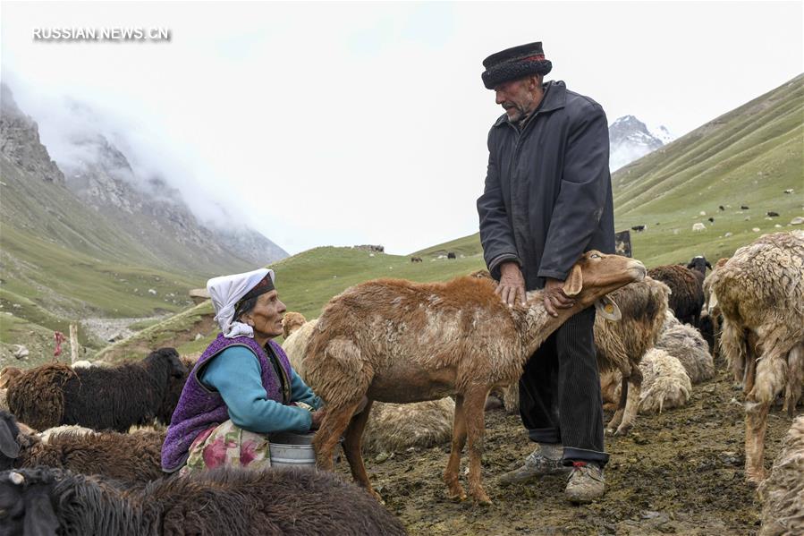 Жизнь скотоводов на высокогорных пастбищах Ташкургана: бедность и надежда