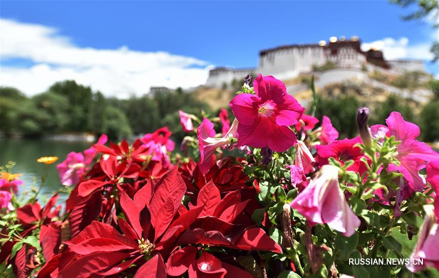 В Лхасе прошел летний дождь