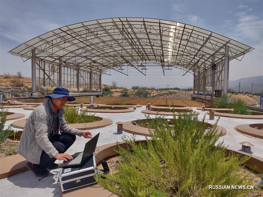 Единственная в пустынях Китая система крупных весовых лизиметров прошла приемочную проверку