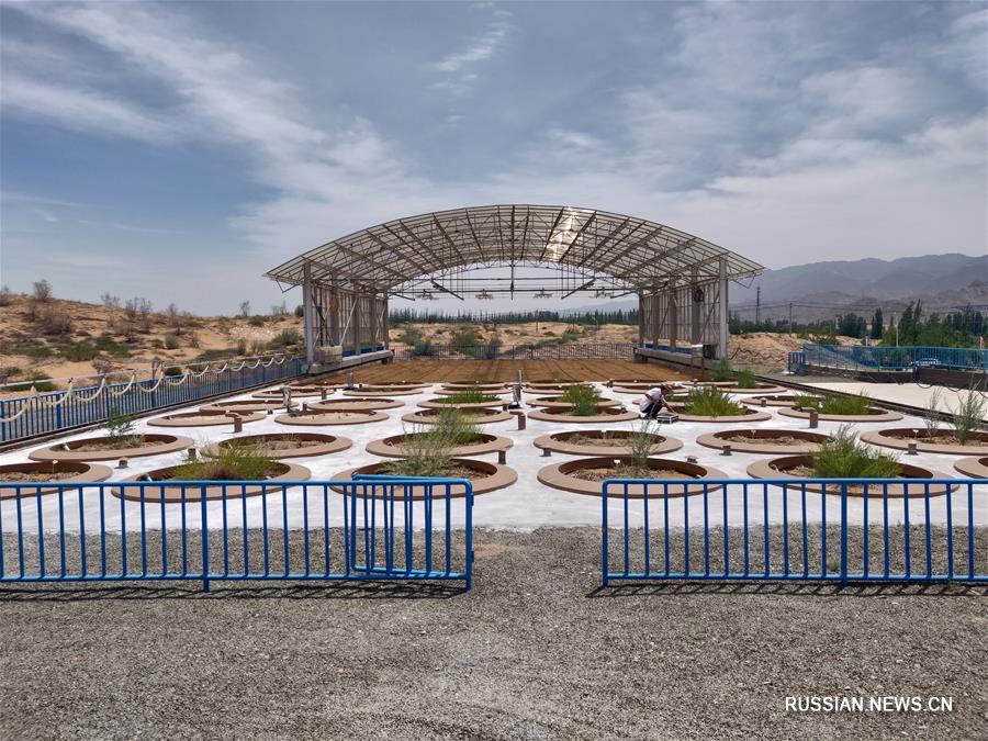 Единственная в пустынях Китая система крупных весовых лизиметров прошла приемочную проверку