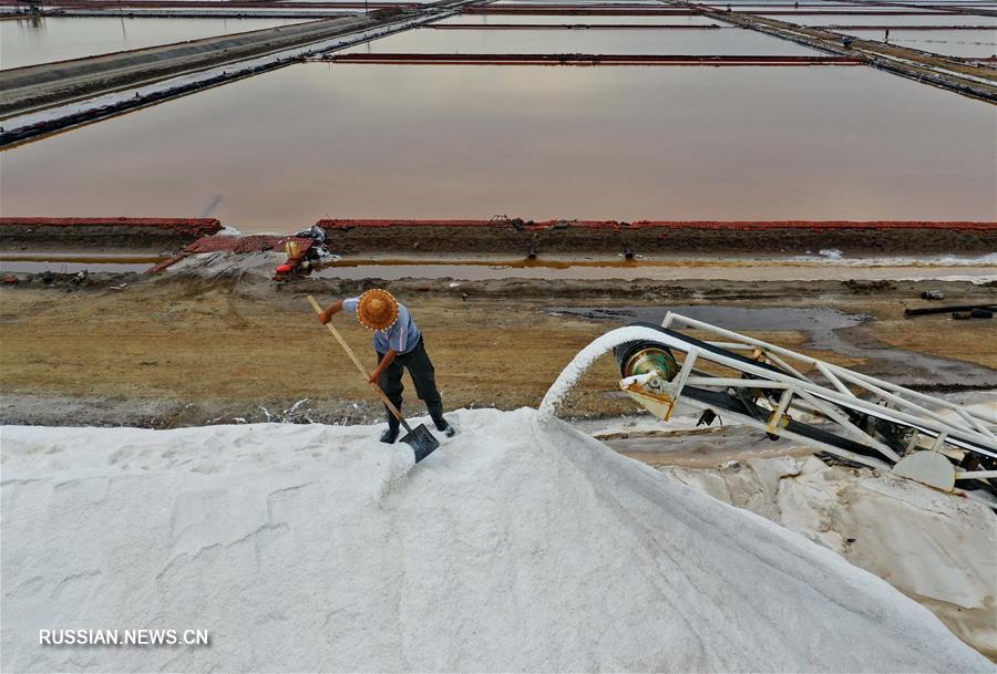 Добыча морской соли