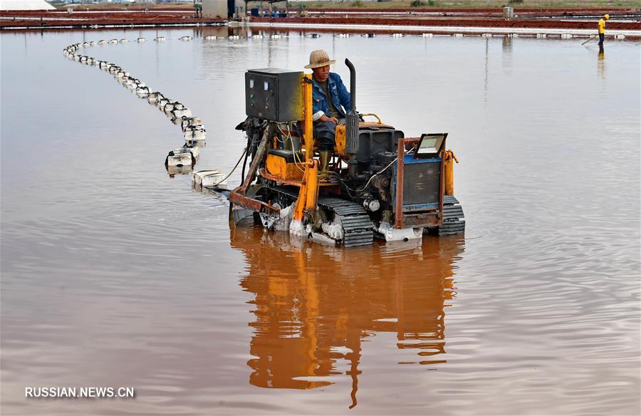 Добыча морской соли
