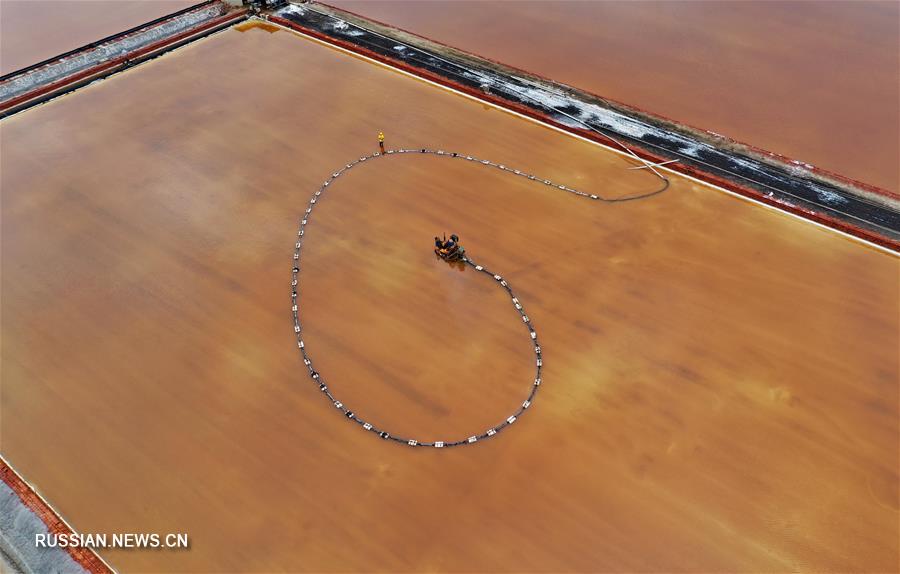 Добыча морской соли