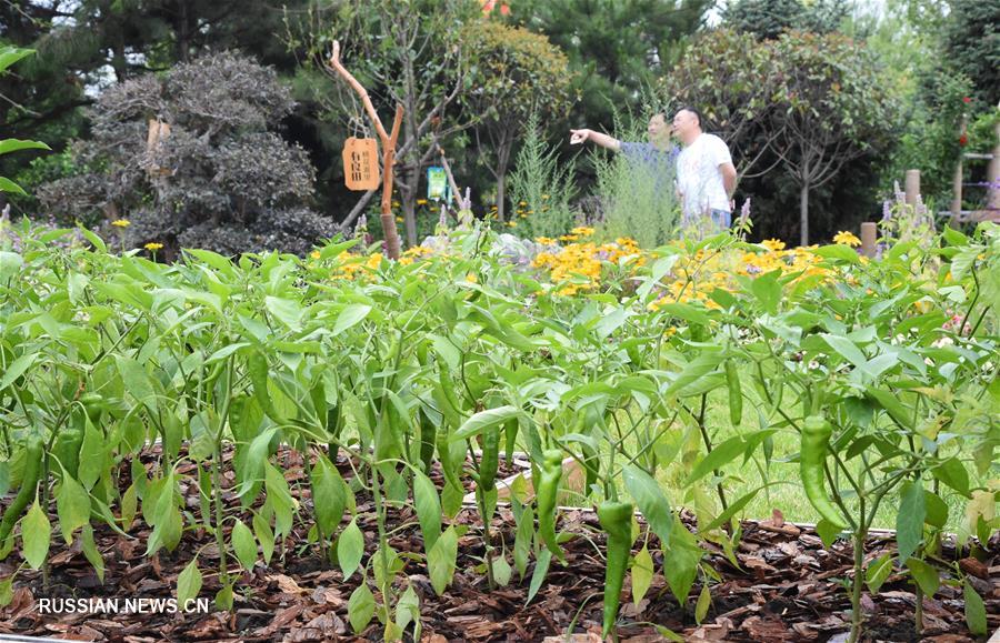 В Пекине на Международной садоводческой выставке ЭКСПО-2019 отметили День провинции Хунань