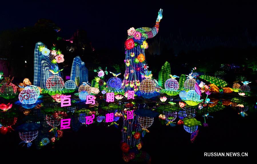 Неоновое шоу в городе Чанчунь