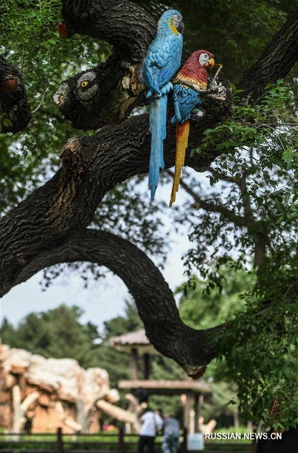 Необычный декор появился на деревьях в зоопарке Чанчуня
