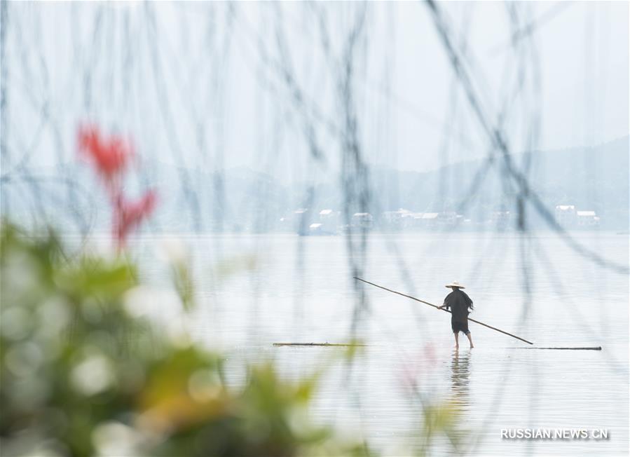 Житель провинции Чжэцзян владеет удивительным способом переправляться через реку на бамбуковом бревне