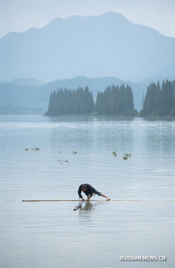 Житель провинции Чжэцзян владеет удивительным способом переправляться через реку на бамбуковом бревне