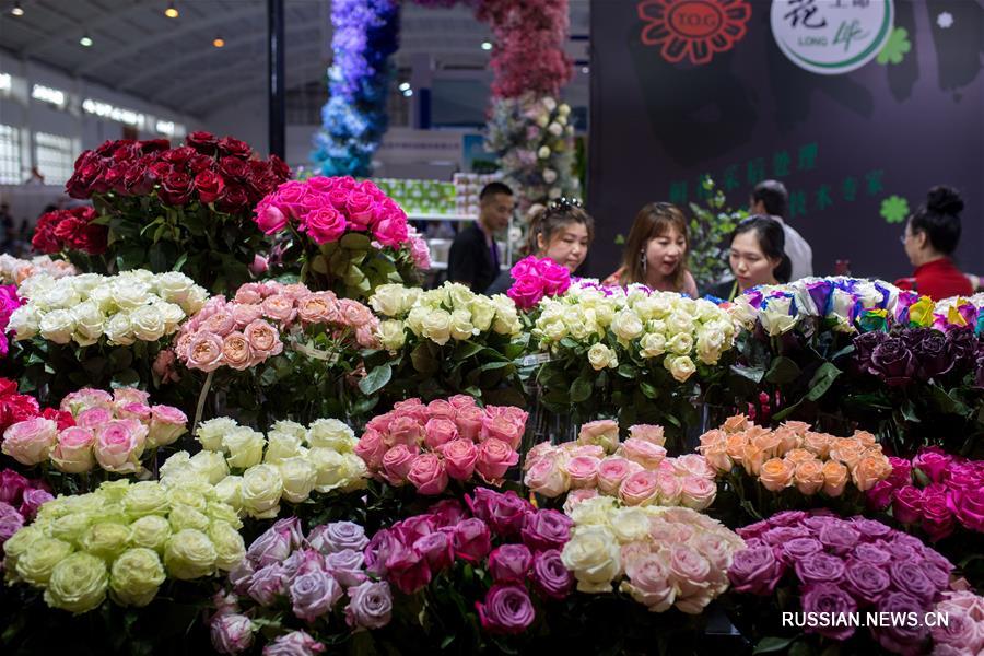 В Куньмине открылась международная выставка цветов