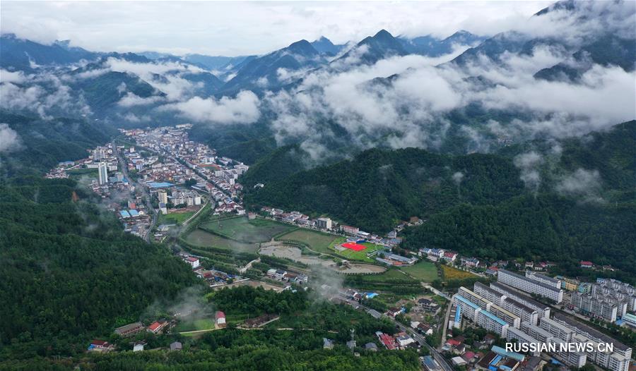 Море цветов в предместьях Ханьчжуна в Шэньси