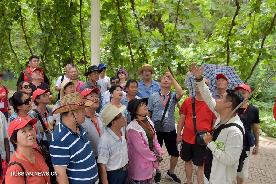 В синьцзянском Турфане наступил пик туристического сезона