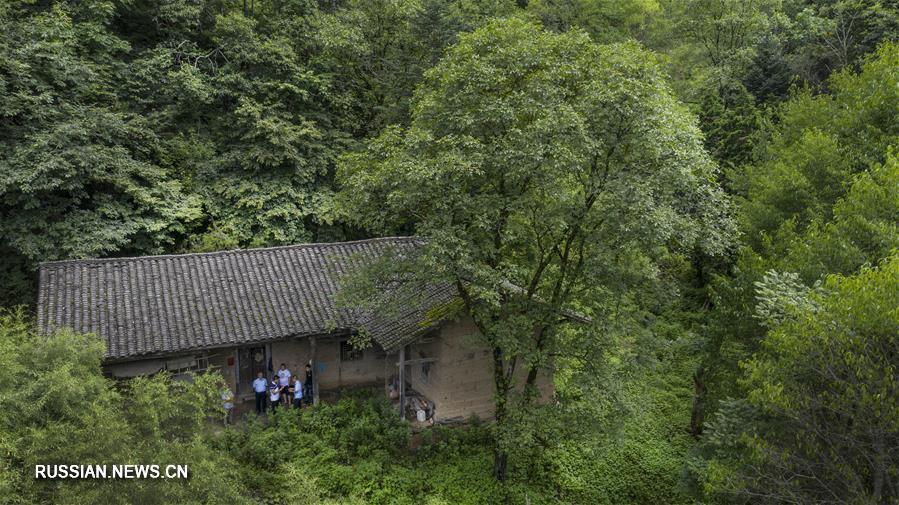 Члены пяти поколений одной семьи в течение 70 лет остаются верными делу озеленения хребта Циньлин