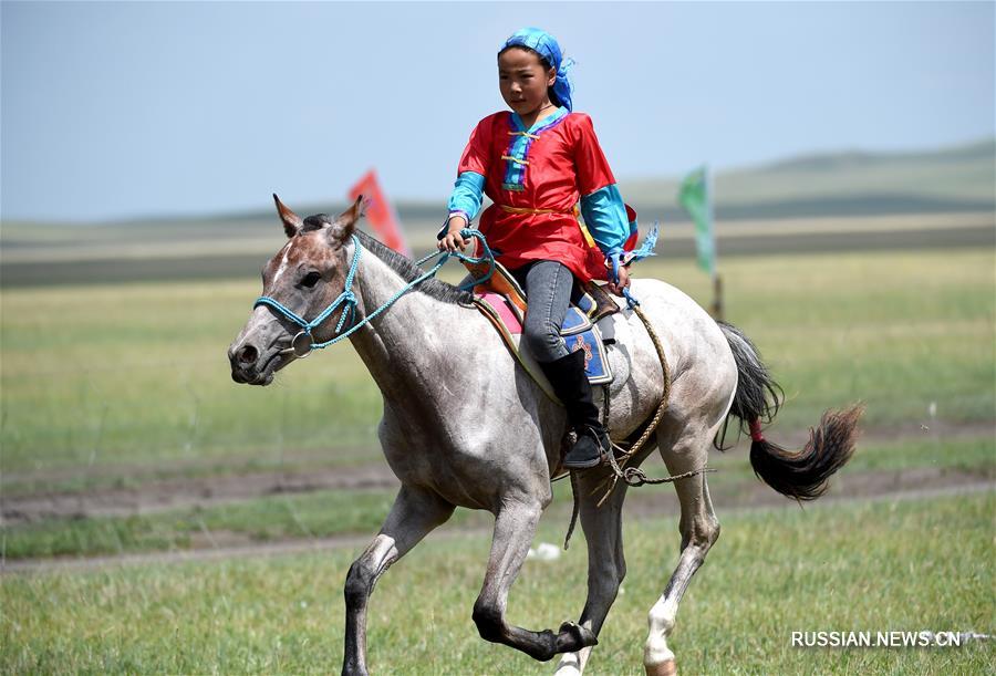 Маленькая наездница из монгольских степей