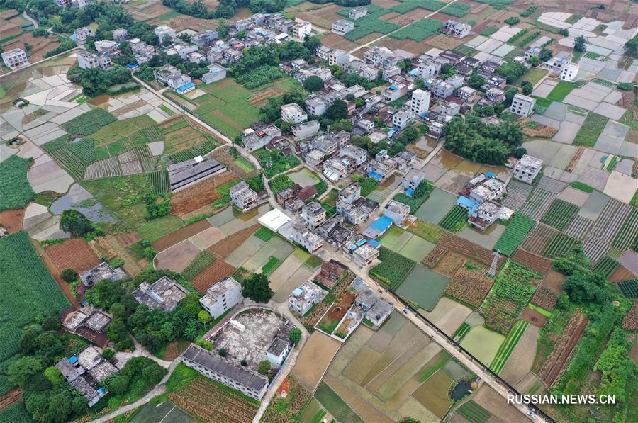 （环境）（3）暑日田园美