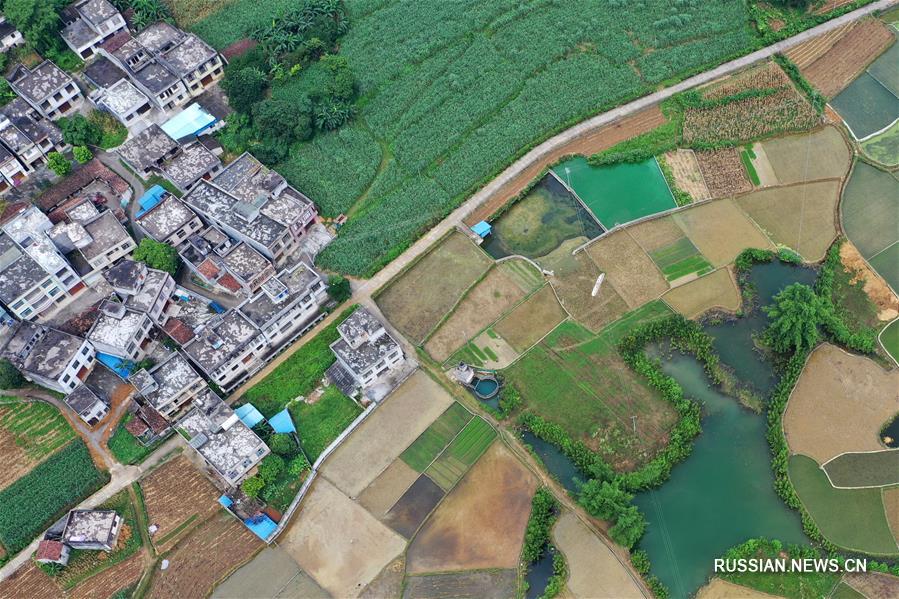 （环境）（5）暑日田园美