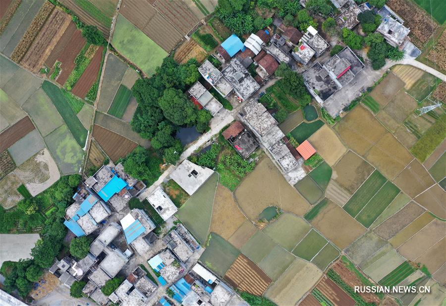 （环境）（6）暑日田园美