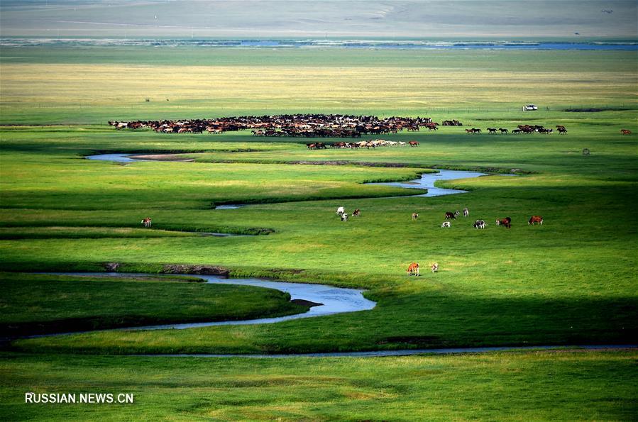 Очарование бескрайних степей Внутренней Монголии 