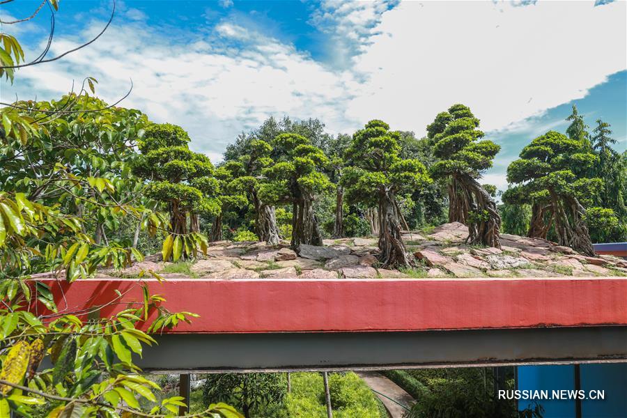 Прекрасные пейзажи Тропического парка Нонг Нуч