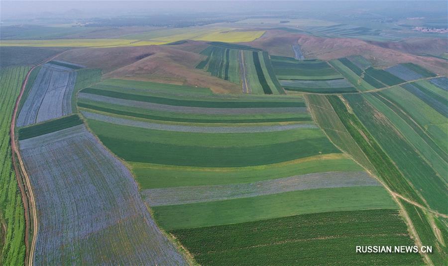 Развитие сельского хозяйства в административной зоне Сайбэй провинции Хэбэй