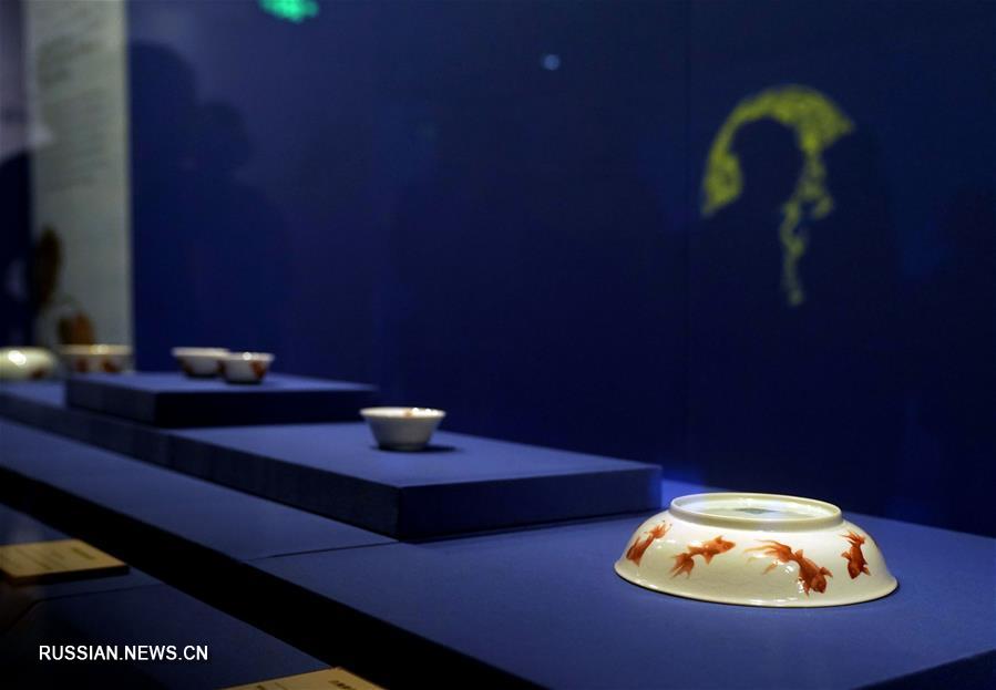 В музее Гугун открылась выставка на тему золотой рыбки 