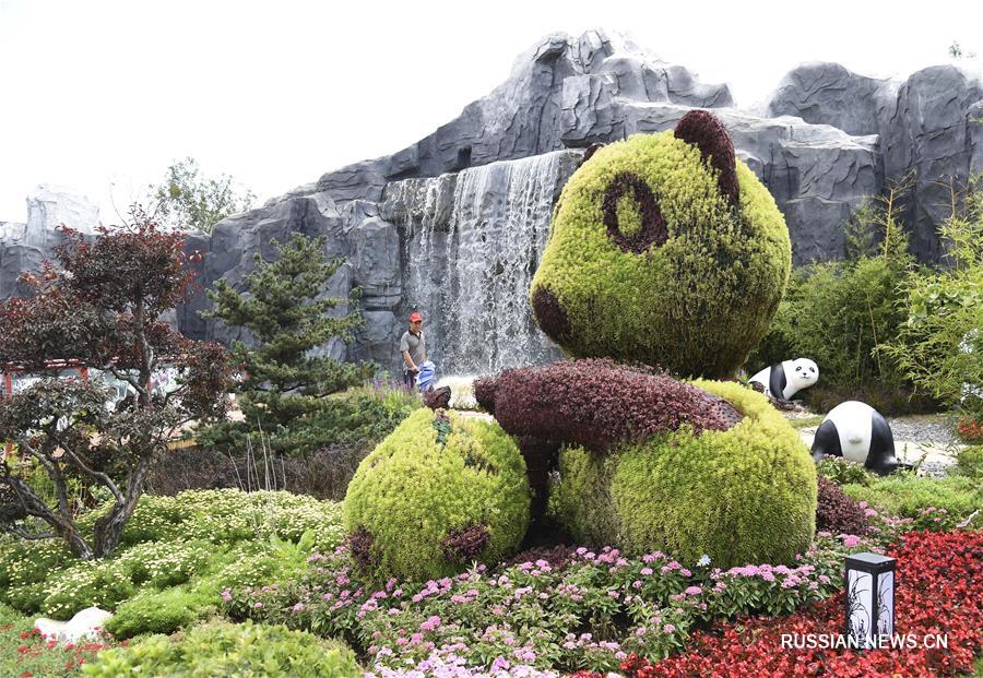 Зеленый Китай -- Сокровища природы провинции Сычуань