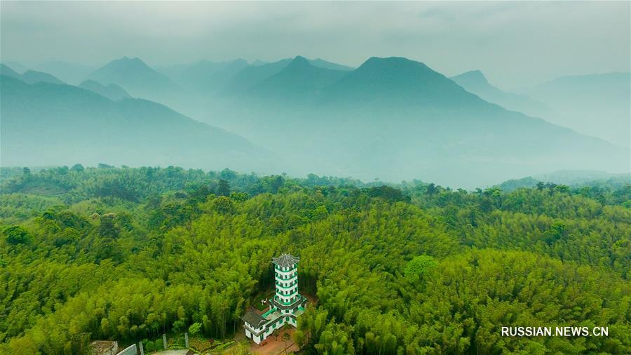 Зеленый Китай -- Природные драгоценности провинции Гуйчжоу