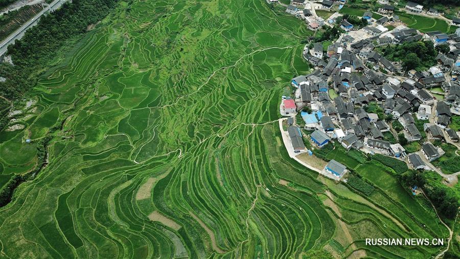 Зеленый Китай -- Природные драгоценности провинции Гуйчжоу