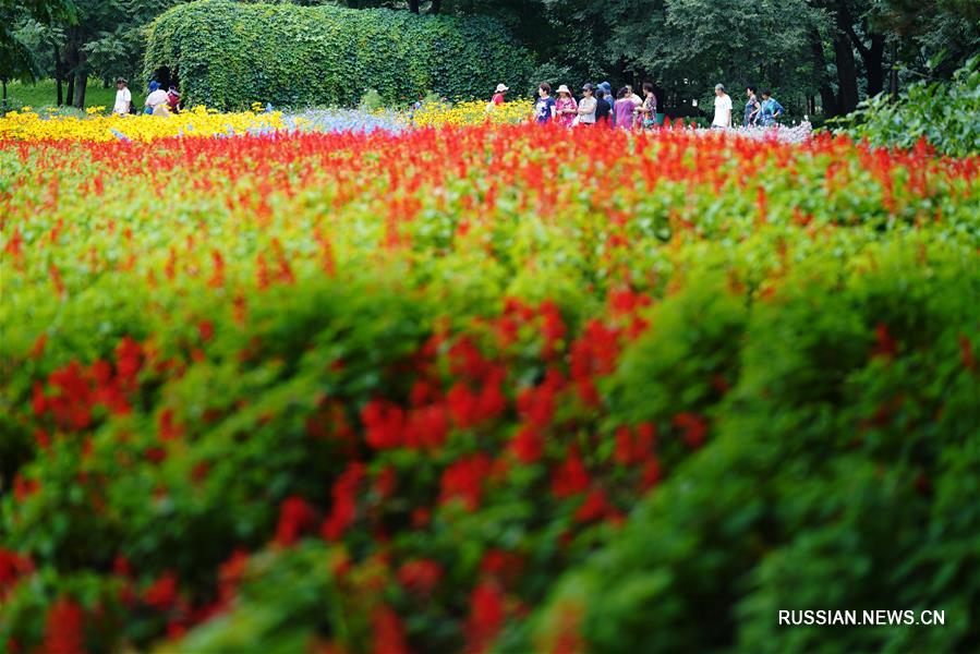 Летние красоты ландшафтного парка Тайяндао
