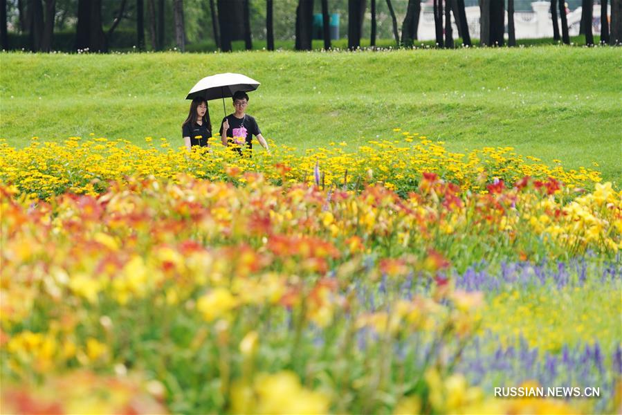 Летние красоты ландшафтного парка Тайяндао