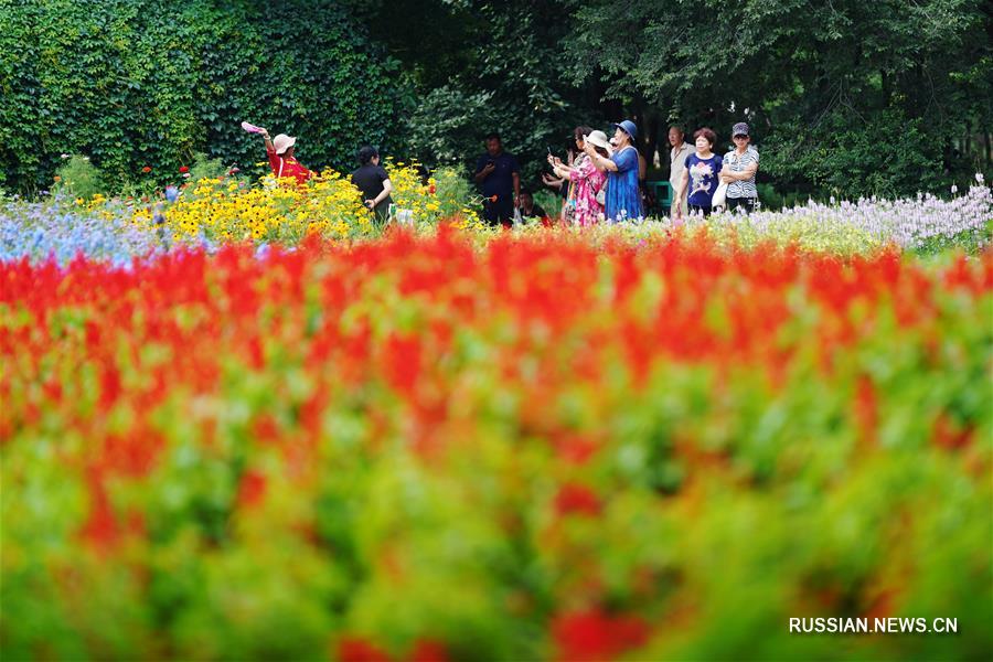 Летние красоты ландшафтного парка Тайяндао