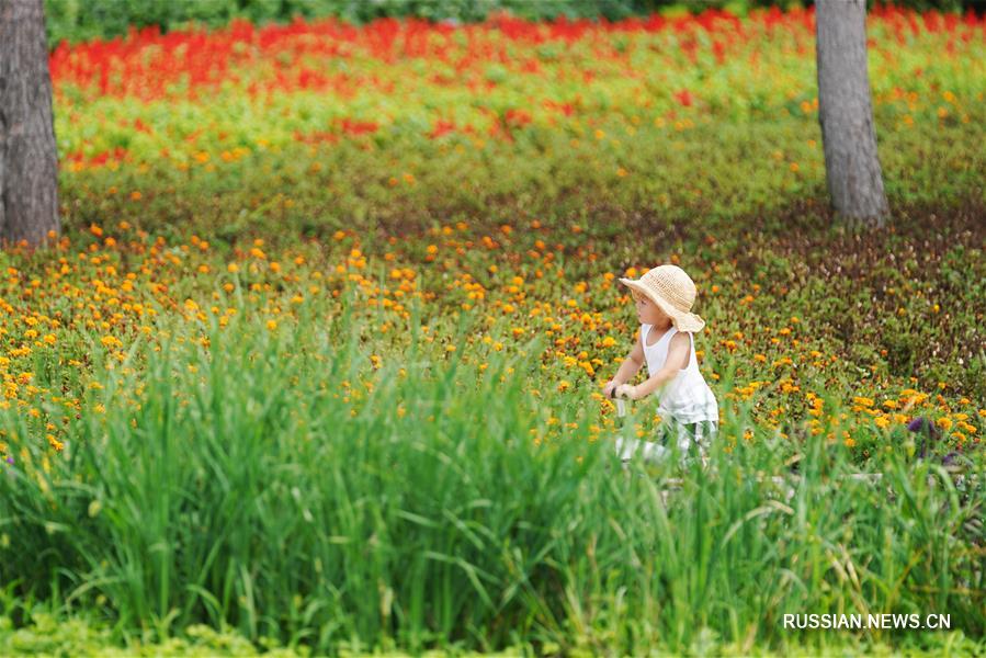 Летние красоты ландшафтного парка Тайяндао