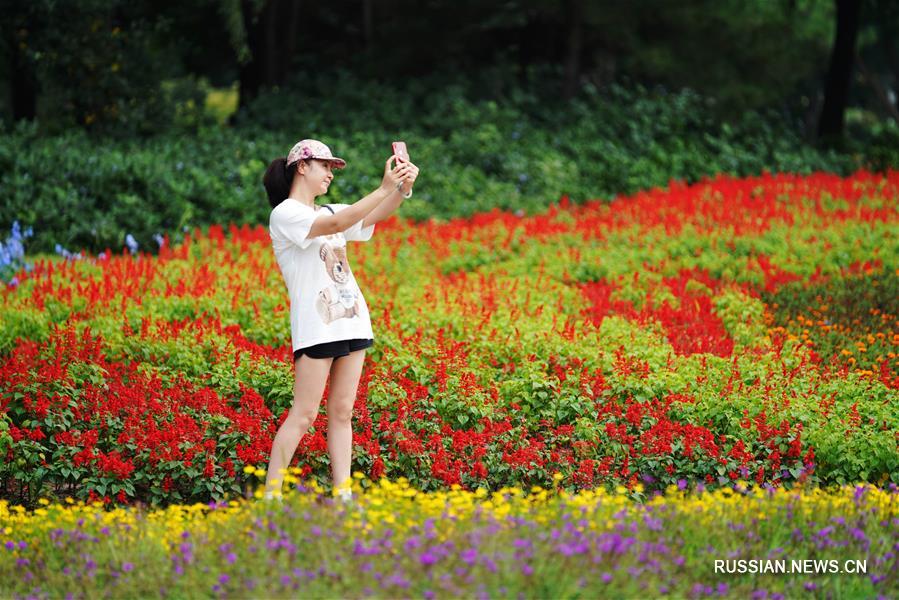 Летние красоты ландшафтного парка Тайяндао