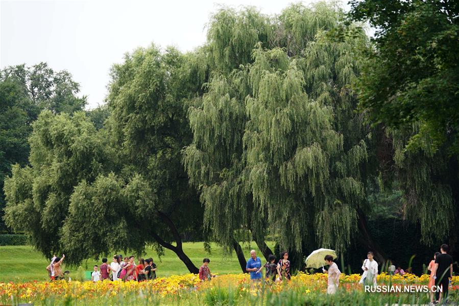 Летние красоты ландшафтного парка Тайяндао