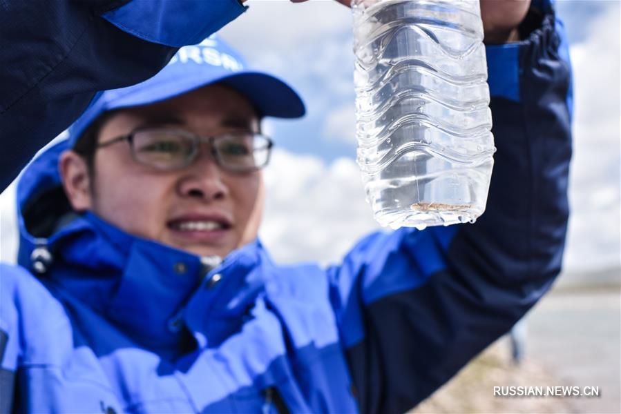 Исследование истоков Янцзы в Цинхае