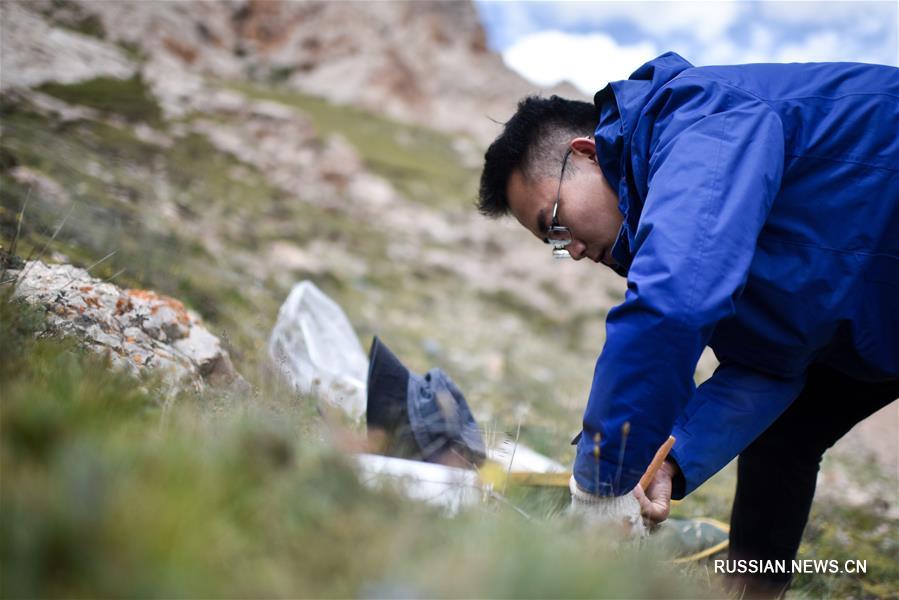 Исследование истоков Янцзы в Цинхае