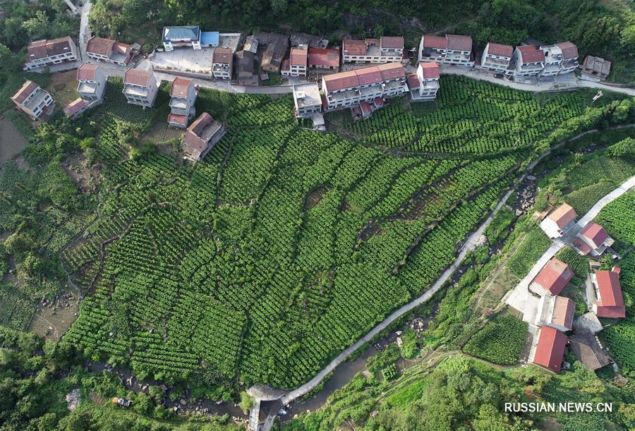 Развитие зеленой экономики в Анькане