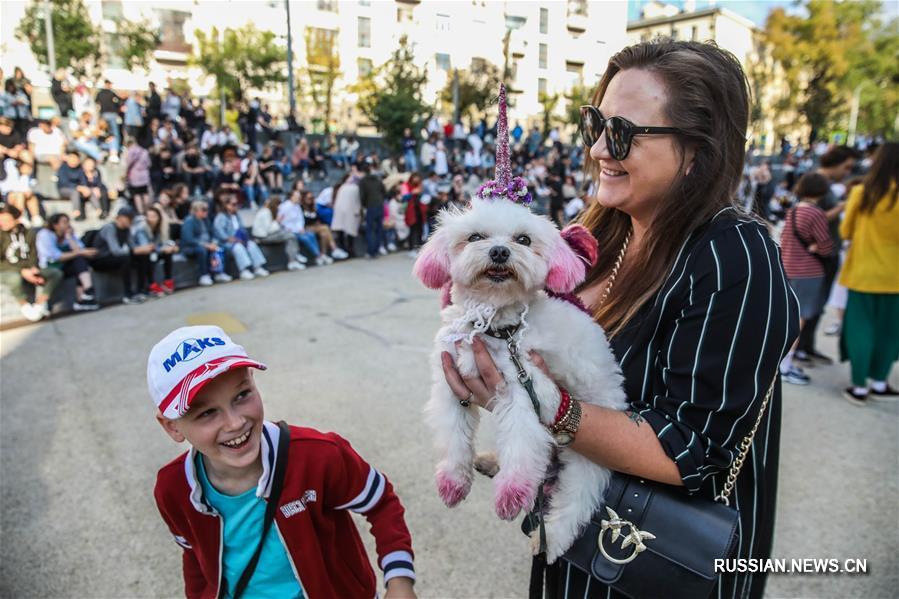 Праздник собачьей моды в Москве